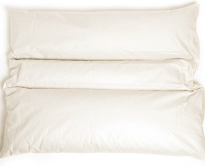 Photo1: Small pillow (w/sasawashi pillow case)