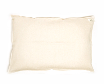 Photo1: 5 Parts type pillow (w/sasawashi pillow case) (1)